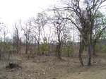 489702052008(9).JPG