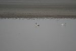 4140IMG_8777.JPG