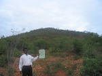 9236gt005a-shrubland-short.gif