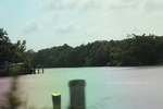 2022-06-11_17-39-22_24B86BC8-72AC-4F4D-9956-70C1DA06F959.jpeg