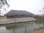 4611RIMG0047-1.JPG