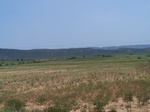 1790927042008(42).JPG