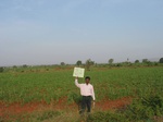 7789gt033a-cropland-rainfed-mixed-crops.jpg