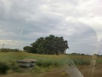 40731CIMG6704.JPG