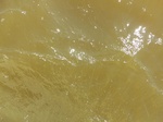 2012-09-21_14-27-09_CIMG0138.JPG