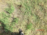 2012-10-02_20-53-40_CIMG0107.JPG