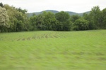 2022-06-11_17-54-34_3F9CFCDC-D346-4F72-94AC-38D9418536D6.jpeg