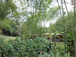 5545100_0928.JPG