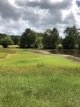 2018-09-03_12-59-55_F5586FB5-8267-4C3B-8A14-7D485E37B3F8.jpg