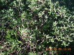 2012-09-27_14-25-51_194.JPG