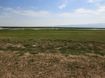 38535CIMG0022.JPG