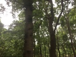 2017-09-10_06-51-02_0BA43A97-F348-4AA4-876F-A47D66CD0085.jpg