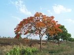 480202052008(101).JPG