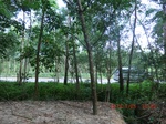 2012-09-26_20-48-07_CIMG1069.JPG