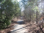 2017-02-24_13-51-07_Feb17-108-NC.jpg
