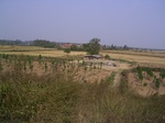 2824 047.jpg