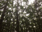 2017-09-10_06-57-42_09A6A1BD-D0F4-4420-B218-0844F848A036.jpg
