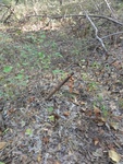 2012-09-24_10-40-16_DSC03086.JPG