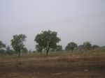3917RIMG0221.JPG