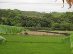 21394DSC00673.JPG