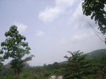 3754RIMG0058.JPG