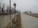8541IMG_0367.JPG
