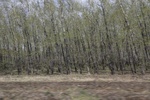 2017-05-12_17-50-07_2017-05-05 23.48.15.jpg