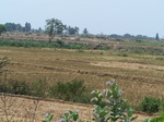 1787226042008(9).JPG