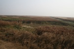 4110IMG_8745.JPG