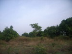 3843RIMG0147.JPG
