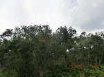 2012-09-26_20-48-08_CIMG1002.JPG