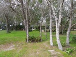 2017-03-02_16-22-30_Feb17-257-FL.jpg