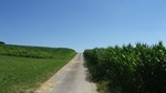 2016-07-25_03-26-57_DSCF1629.JPG