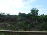 20330P1020187.JPG