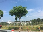2017-09-12_14-17-42_C155101F-7C73-44C2-B2F4-63AE26A697CD.jpg