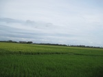 14298IMG_4638.JPG