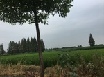 2017-09-10_20-48-47_25C0B8AC-A774-41D5-89A4-9DA70A6CD3C1.jpg