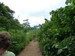 18238P1000074.JPG