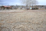 2019-03-25_16-48-23_Frenchy's field SAF 360-315°   220220198370.JPG