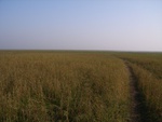 445120071120gps.JPG