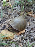 2012-09-24_10-40-26_DSC03103.JPG