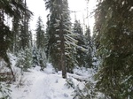 40424CIMG0330.JPG
