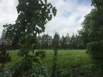 2017-09-12_12-55-53_4A2D4190-0C05-40B1-A8A9-43491F4A828F.jpg