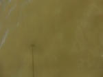 2012-09-21_14-25-49_CIMG3214.JPG