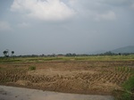 15346IMG_4187.JPG