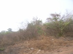4000RIMG0304.JPG