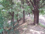 1780424042008(60).JPG