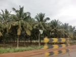 55803CIMG6423.JPG