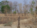 485502052008(5).JPG