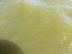 2012-09-21_14-26-55_CIMG0099.JPG